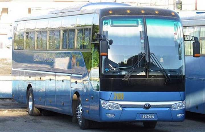 Mayor disponibilidad de ómnibus para rutas interprovinciales y mejoras en el servicio de la terminal son ostensibles.