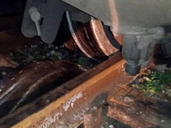 tren descarrila las tunas 2025