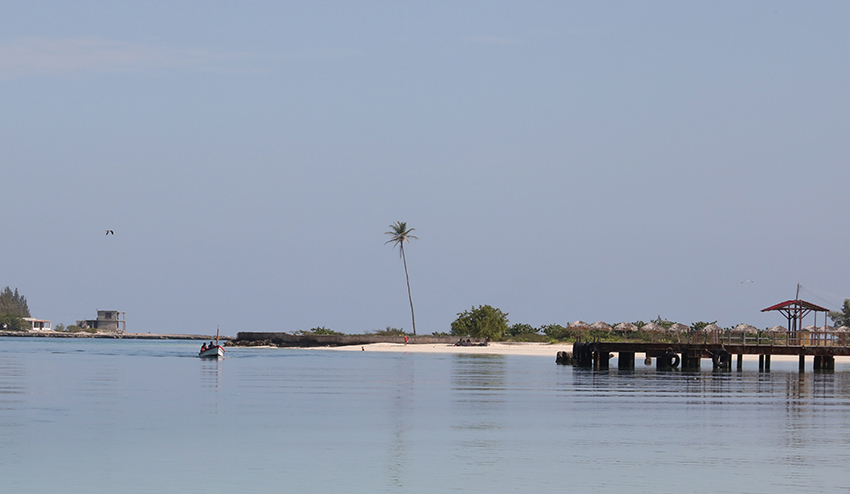 laboca playa las tunas rey 2025 10