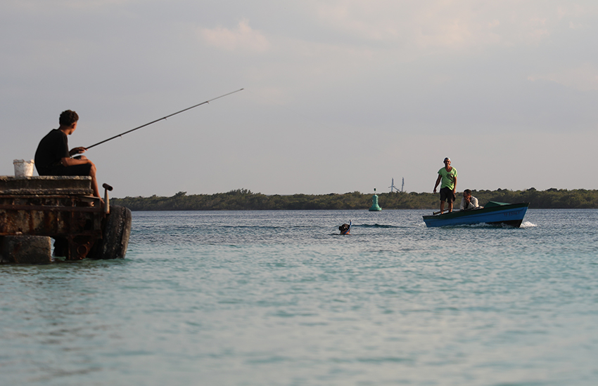 laboca playa las tunas rey 2025 2