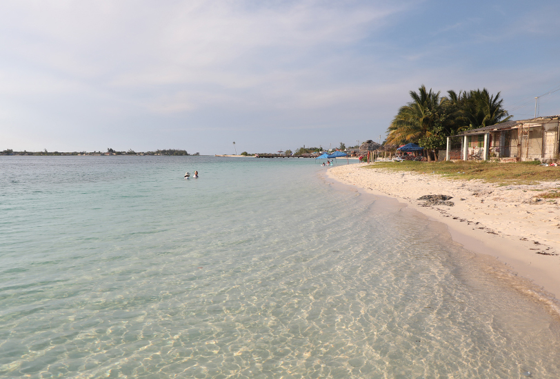 laboca playa las tunas rey 2025 4