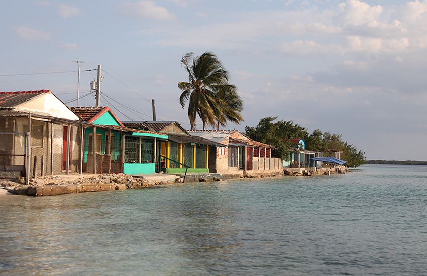 laboca playa las tunas rey 2025 5