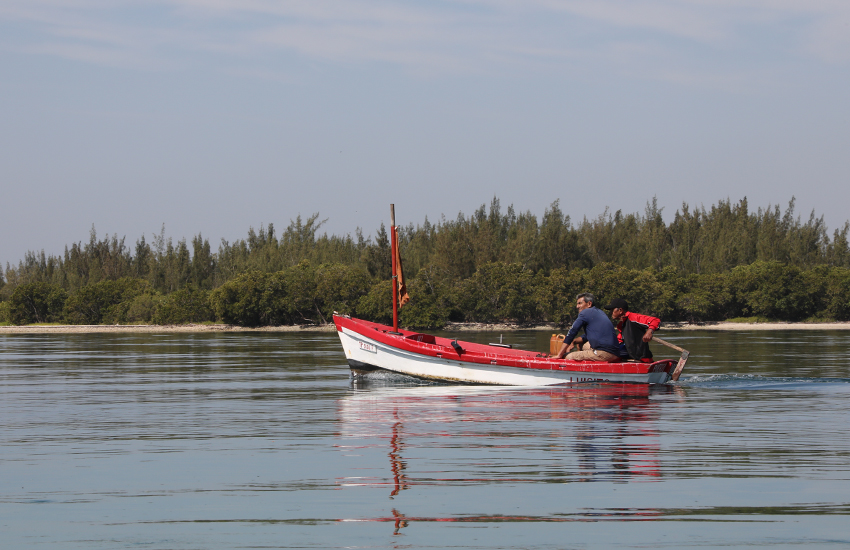 laboca playa las tunas rey 2025 9